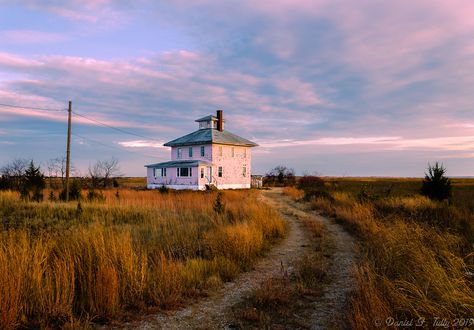 Plum Island Pink House, Country Sides, Film Camera Photography, Plum Island, Cape Ann, Pink House, Pink Houses, Gloucester, Shade Garden