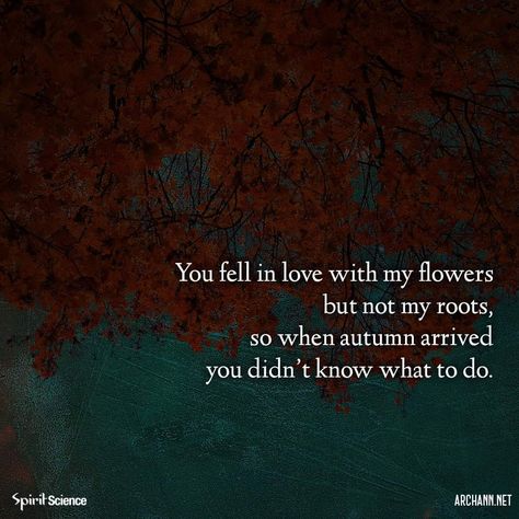 You fell in love with my flowers and not my roots Roots Quotes, Spirit Science, Mandala Coloring Books, Amazing Quotes, Lyric Quotes, Fell In Love, Poetry Quotes, My Flower, Positive Thinking