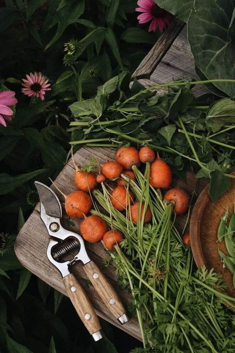 Garden Lifestyle Photography, Vegetable Garden Photoshoot, Simple Life Aesthetic Farm, Gardening Photoshoot, Homestead Photos, Calico And Twine, Authentic Photography, Cottagecore Life, Garden Business