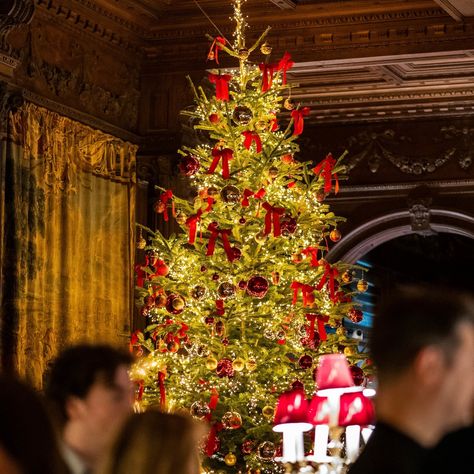 Celebrate Christmas in style over three unforgettable days at Cliveden's iconic House Party. Think Champagne receptions, gourmet dinners, live carols, and black-tie glamour - all set in historic grandeur. Ready to make memories? #clivedenhouse #cliveden #christmasatcliveden #christmashouseparty #christmascelebrations Black Tie Christmas Party, Black Tie Christmas, Formal Christmas Party, Christmas Gala, Production Ideas, Gourmet Dinner, Event Production, Make Memories, Celebrate Christmas