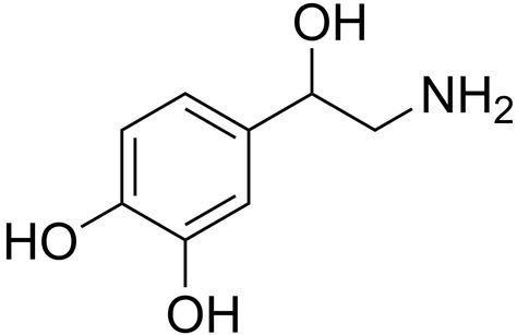 Noradrenaline Tattoo, Norepinephrine Molecule, Chemistry Equations, Chemistry Tattoo, Frontal Lobe, Chemical Structure, Sleeve Ideas, Sleeves Ideas, Organic Chemistry