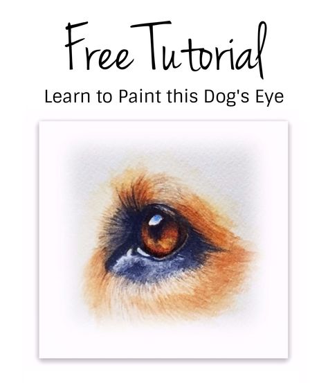 Learn how to paint a dog's eye in watercolor. Watch the free step by step tutorial at https://rebeccarhodes.teachable.com/ Dog Watercolor Painting, Paint Realistic, Watercolor Dogs, Dog Portraits Painting, Painting Dogs, Portraits Painting, Watercolor Tiger, Drawing Realistic, Painting Animals