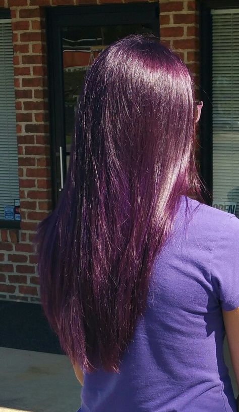 Purplish Hair Color, Plum Hair With Black Highlights, Purple Hair Care Products, Purple Hue Hair, Dull Purple Hair, Purple Hair Gloss, Dark Reddish Purple Hair, Purple Hair Tint, Dr Pepper Hair Color