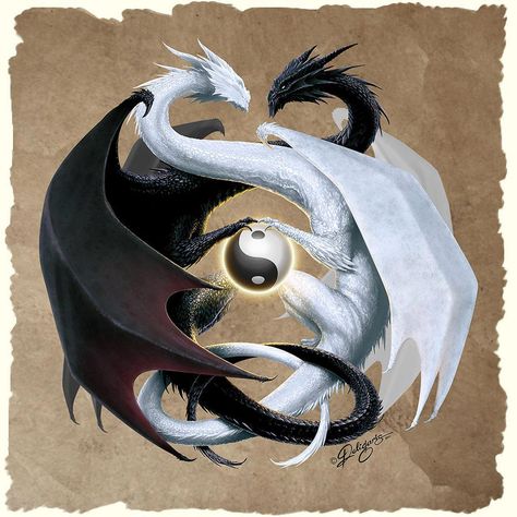 Ying and Yang Creature Fantasy, Yin Yang Tattoos, Double Dragon, White Dragon, Fantasy Dragon, Ying Yang, Mystical Creatures, Black Dragon, Magical Creatures