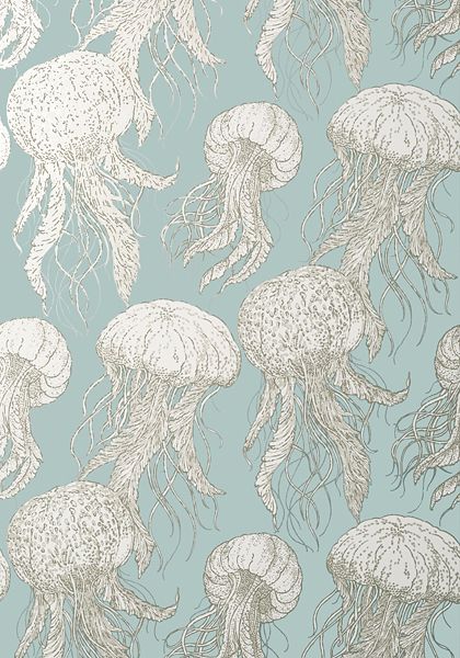 JELLY FISH BLOOM, Aqua, T13170, Collection Summer House from Thibaut Jellyfish Quotes, Jellyfish Lantern, Construction Wallpaper, Jellyfish Jewelry, Bloom Wallpaper, Jellyfish Illustration, Jellyfish Photography, Jellyfish Tank, Jellyfish Decorations