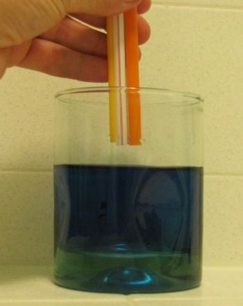 Science Fair: Capillary Action: Say No to Gravity Experiment Science, Capillary Action, Science Fair Project, High School Chemistry, Steam Activities, Monetary Policy, Science Project, Science Fair Projects, Middle School Science