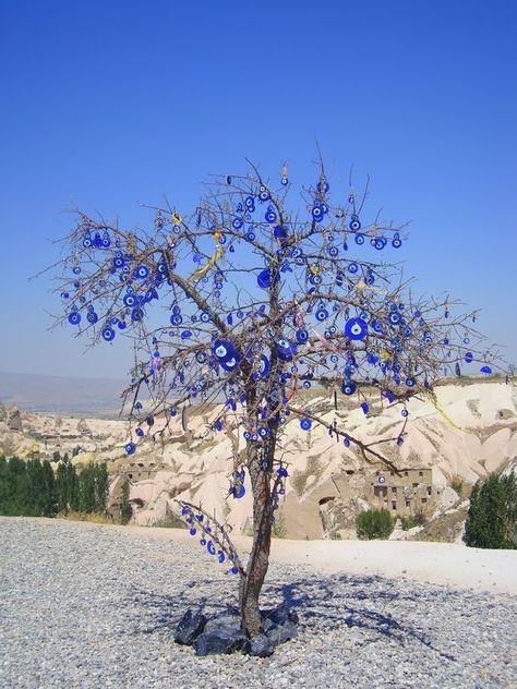 Evil Eye Tree, Evil Eye Art, Greek Blue, Cappadocia Turkey, Eye Pictures, Greek Evil Eye, The Spell, Evil Eye Charm, Eye Art