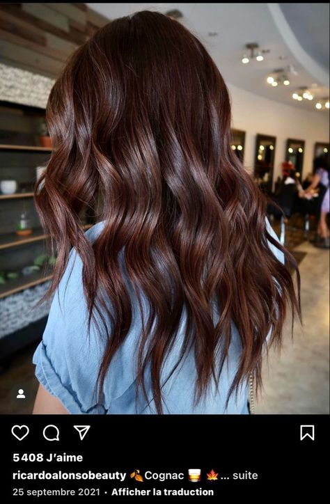 Rich Auburn Hair Color Dark Brown, Rich Brown Red Hair Color, Brunette With Hint Of Red, Brunette Hair Fall 2023, Chocolate Brown Auburn Hair, Dark Auburn Balayage Brunettes, Cherry Mocha Hair Color, Dark Auburn Brown Hair Color, Auburn Dark Hair