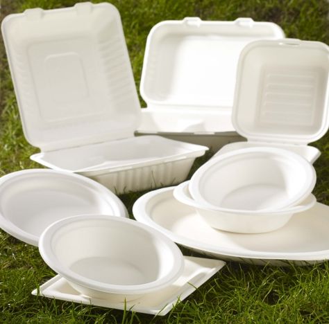 Bagasse Packaging, Fast Food Packaging, Disposable Bowls, Catering Supplies, Products Photography, Compostable Packaging, Wheat Straw, Event Supplies, Disposable Cups