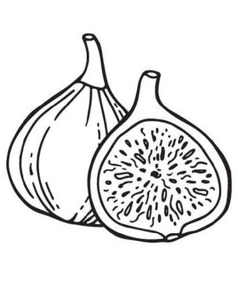 Fig coloring pages Fig Drawing, Tree Drawing Simple, Fruit Tattoo, Onion Jam, Fruits Drawing, Baby Tattoos, Tree Tattoo, Simplistic Tattoos, Minimalistic Design