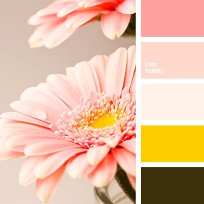 Gamma of pink flowery shades is complemented by rich yellow and dark khaki. This colour solution can be used in the design of kitchen and spacious living r. Pallets Color, Flat Bedroom, In Color Balance, Palettes Color, Combination Color, Color Palette Ideas, Gerber Daisy, Paint Inspiration, Color Board