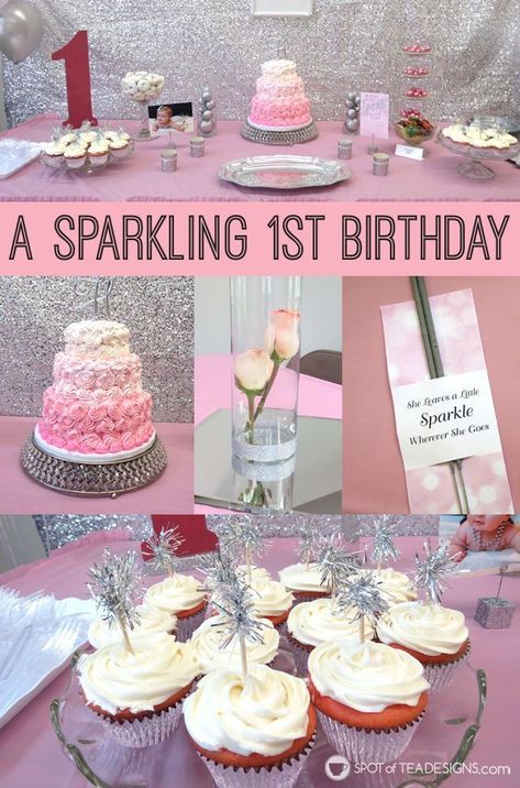 Pink And Silver Birthday Party, Silver Birthday Party, Sparkle Birthday Party, Sparkle Birthday, Themed First Birthday, Twins 1st Birthdays, Sparkle Party, Silver Birthday, 1st Birthday Themes