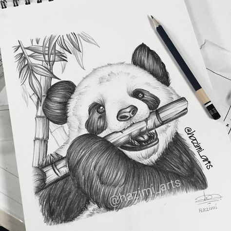 Fast Sketches, Panda Sketch, A4 Sketchbook, Bamboo Drawing, Panda Artwork, Shading Drawing, Panda Drawing, Drawing Body Poses, Panda Art