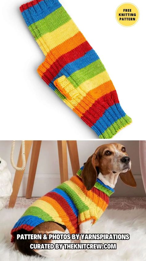 8 Free Knitting Patterns for Small and Big Dog Sweaters - The Knit Crew Dog Jumper Knitting Pattern, Dachshund Dog Sweaters, Big Dog Sweaters, Knitting Patterns For Dogs, Knitted Dog Sweater Pattern, Knitting Patterns Free Dog, Dog Coat Pattern, Dachshund Sweater, Pet Sweaters