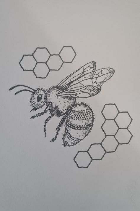 This is a stylised Honeybee drawing with honey hexagons next to it. The drawing is made from ink Honey Bee Drawing Honeycombs, Drawing Honeycomb, Honey Comb Drawing, Honeybee Drawing, Bee Drawing Simple, Bee Drawing Easy, Honeycomb Drawing, Honeycombs Drawings, Honey Bee Drawing