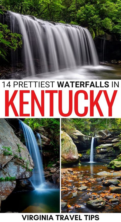 Kentucky Tourism Things To Do, Gorge Underground Kentucky, Kentucky And Tennessee Road Trip, Gorge Underground Rogers Kentucky, The Kentucky Castle, Hiking In Kentucky, Red River Gorge Kentucky Camping, Kentucky Bucket List, Kentucky Vacation Ideas