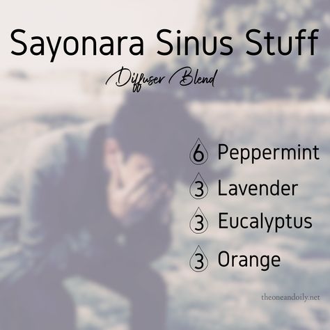 Kiss off sinus pressure, a diffuser blend. I love my Young Living oils! Essential Oils Sinus Pressure, Young Living Sinus Infection Diffuser, Sinus Pressure Diffuser Blend, Sinus Diffuser Blends Young Living, Sinus Infection Relief Essential Oils Diffuser, Sinus Headache Diffuser Blend, Sinus Diffuser Blend, Sinus Relief Diffuser Blends, Sinus Essential Oils Diffuse