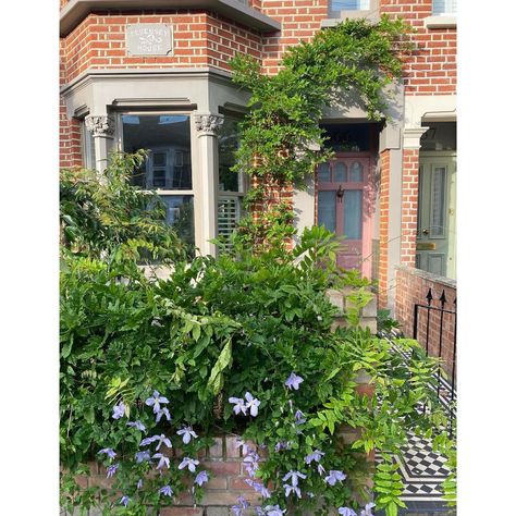 @pevensey_house_ on Instagram: “🙌🏻 A day to enjoy. Happy Friday. 🌱 Last time I shared a front of the house photo the Wisteria over the door was in full bloom. It is now…” Wisteria Front Of House, Wisteria Front Door, Wisteria On Modern House, Wisteria Growing On House, London Wisteria, Wisteria Victorian Terrace, Wisteria London, Victorian Front Garden, Terrace House Exterior