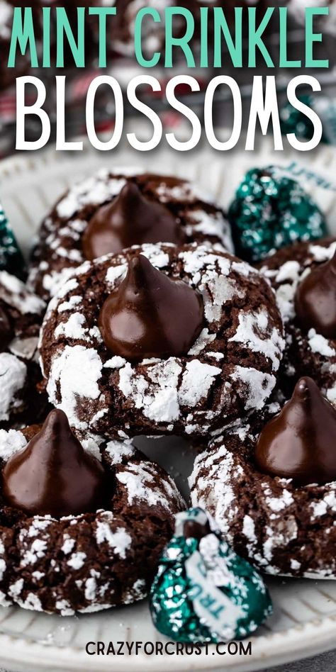 Chocolate Mint Crinkle Cookies - Crazy for Crust Mint Truffle Kiss Cookies, Triple Chocolate Peppermint Cookies, Chocolate Mint Crinkle Cookies, Andes Mint Cookies Recipe, Crinkle Cookies With Cake Mix Boxes, Crinkle Cookie Recipes, Mint Crinkle Cookies, Cake Mix Crinkle Cookies, Christmas Thumbprint Cookies