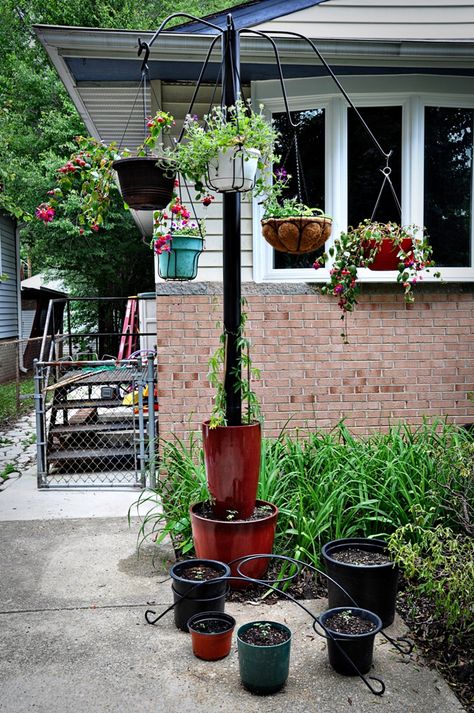 Repurpose the basketball pole Repurposed Basketball Pole, Old Basketball Hoop Repurpose, Upcycled Basketball Ideas, Laundry Basketball Hoop, Hanging Disco Ball Planter, Disco Ball In Plant Hanger, Potted Plants Patio, Outdoor String Lights Patio, Gardening For Dummies