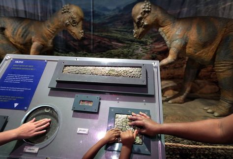 It’s easy to imagine the “Scenes of Dinosaurs” exhibit now at the Memphis Pink Palace Museum as the natural-history equivalent of the offerings at a small multiplex cinema. The scenes on display inside the museum’s upstairs exhibition hall present a variety of striking performers in emotional and sometimes tense scenarios. Dinosaur Museum Aesthetic, Museum Of Jurassic Technology, Lion Zoo Exhibit, Dinosaur Exhibition, Fossil Museum, Exhibit Ideas, Big Draw, Museum Plan, Security Logo