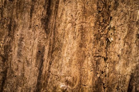 Old Wood Texture, Retro Posters, Old Wood, Wood Texture, Vintage Cards, Retro Poster, Free Photo, Design Projects, High Definition