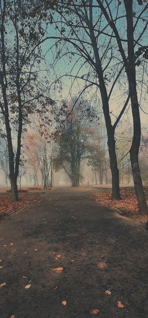 November, autumn, fog, nature, mood Foggy Nature Aesthetic, Fall Fog Aesthetic, Foggy Morning Aesthetic, Early Morning Fog Aesthetic, Foggy Fall Vibe, Foggy Fall, Foggy Fall Forest, November Autumn, Morning Aesthetic