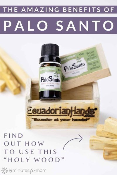 Palo Santo Benefits and How To Use This “Holy Wood” Responsibly #ad #palosanto #healthyliving #essentialoils #health #wellness Palo Santo Benefits, Healthy Lifestyle Motivation Quotes, Palo Santo Essential Oil, Healthy Living Inspiration, Health Post, Healthy Supplements, Citrus Fragrance, Healthy Lifestyle Tips, Natural Living