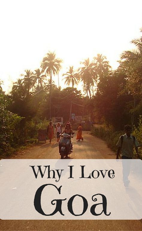 I love Goa - it is my favorite place in the world and there are 11 great reasons why you should come and visit it too! Goa Travel, India Trip, Backpacking India, India Travel Guide, Goa India, Travel India, Visit India, Shimla, Honeymoons