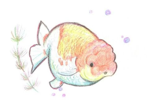 Fish Drawings, Sketchbook Art Journal, Art Prompts, Fish Art, Sketchbook Art Inspiration, Cool Art Drawings, Art Inspiration Drawing, Funky Art, A Drawing