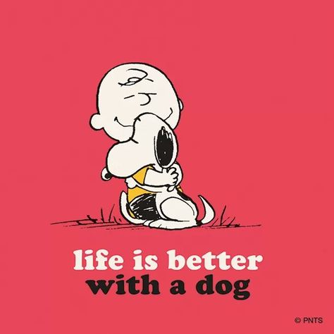 Peanuts .. Life is better with a dog. National Dog Day, Dog Day, Dogs For Sale, Peanuts Gang, Guard Dogs, Labradoodle, Dog Quotes, Mans Best Friend, I Love Dogs