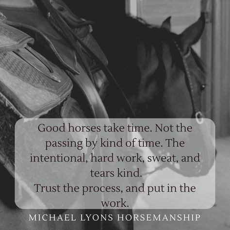 Horsemanship Quotes, Poetic Quotes, Inspirational Horse Quotes, Horse Exercises, Poetic Quote, Horse Quotes, Trust The Process, Equestrian Style, Take Time