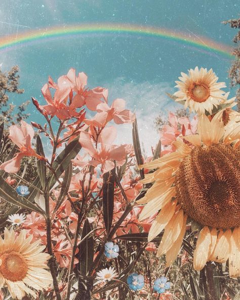 🌈’we are all just suns trying to find a sky to shine in.’ ~ @zackgreywrites 🌞🌻 Boho Aesthetic, Facebook Cover Photos, Facebook Cover, Aesthetic Wallpaper, Cover Photos, I Hope, Wallpapers, Iphone