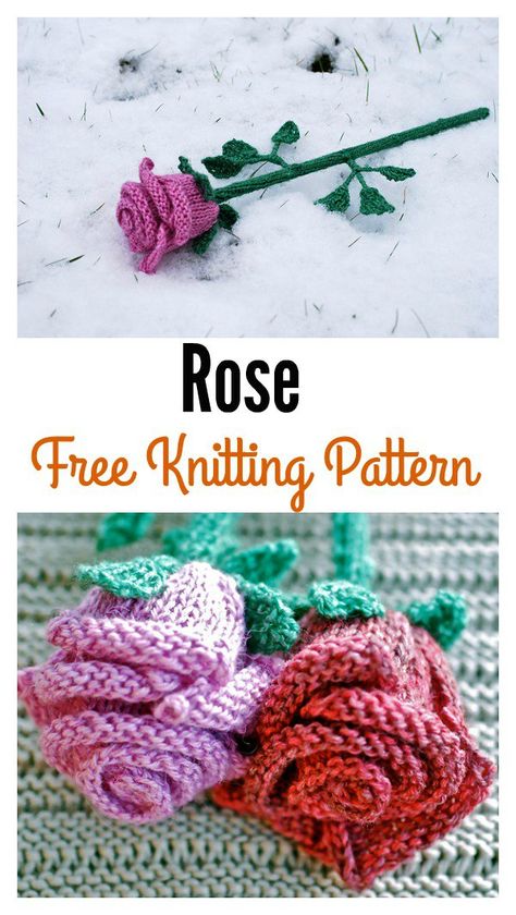 Rose Flower Free Knitting Pattern Knitted Flowers Free, Flowers Knitting, Flower Knitting, Knitted Flower Pattern, Christmas Knitting Patterns Free, Knitting Patterns Toys, Christmas Knitting Patterns, Knitted Flowers, Crochet Rose