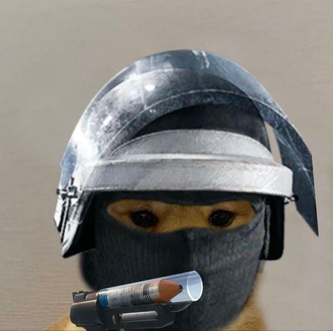 Doc Rainbow Six Siege, Siege Operators, Panty And Stocking Anime, Rainbow Six Siege Memes, Rainbow 6 Seige, Rainbow Six Siege Art, Rainbow Six Siege, Funny Images Laughter, Cat Icon