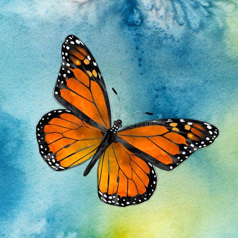 Monarch Butterfly. Watercolor depiction of a Monarch butterfly flying against a , #AFF, #Watercolor, #depiction, #Monarch, #Butterfly, #blue #ad Monarch Butterfly Flying, Monarch Butterfly Watercolor, Monarch Butterflies Art, Butterfly Flying, Butterfly Art Drawing, Artsy Ideas, Butterfly Art Painting, Butterfly Illustration, Butterflies Flying