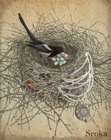 Magpie Nest, Magpie Tattoo, Magpie Art, Nest Art, Visual Library, Shiny Objects, Animal Totems, Bird Nest, Kraken