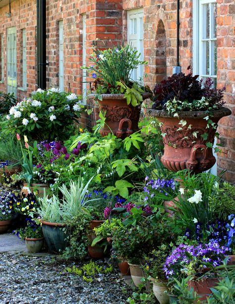 This spring container grouping looks great nestled into the garden with the Rhododendron behind it. Container Garden Design, Indoor Vegetable Gardening, English Cottage Garden, Garden Containers, The Secret Garden, Garden Pictures, Container Garden, Small Garden Design, Garden Cottage