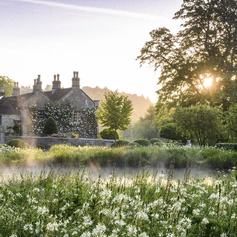 Is this the perfect example of the new-look English garden? Traditional style with modern planting — Gardens Illustrated English Garden Aesthetic, Traditional English Garden, Modern Planting, Open Garden, Modern Ideas, Garden Aesthetic, New Garden, Traditional English, 4 Pm