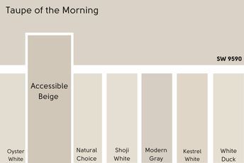 Taupe of the Morning: Sherwin Williams Coziest Taupe (Review & Dupes) SW 9590 - Mod & Mood Antler Velvet Sherwin Williams, Sherwin Williams Taupe, Taupe Of The Morning, Benjamin Moore Taupe, Antler Velvet, Perfect Greige, Manchester Tan, Sherwin Williams White, Black Paint Color