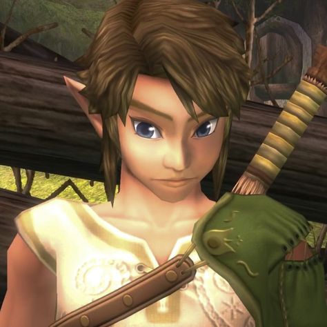 Link Icon Twilight Princess, Twilight Princess Link Pfp, Link Pfp, Twilight Princess Link, Link Legend Of Zelda, Link Twilight Princess, Legend Of Zelda Twilight Princess, Legend Of Zelda Characters, Shigeru Miyamoto