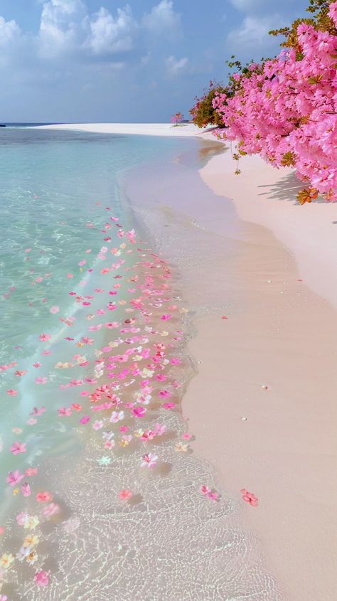 Pink Sand Wallpaper Iphone, Beach Ipad Wallpaper Aesthetic, Pretty Wallpapers Backgrounds Ipad, Cute Pink Summer Wallpaper, Hawaii Pics Aesthetic, Happy Aesthetic Pictures, Clear Aesthetic Wallpaper, Lockscreen Wallpaper Iphone Cute, Preppy Beachy Wallpaper