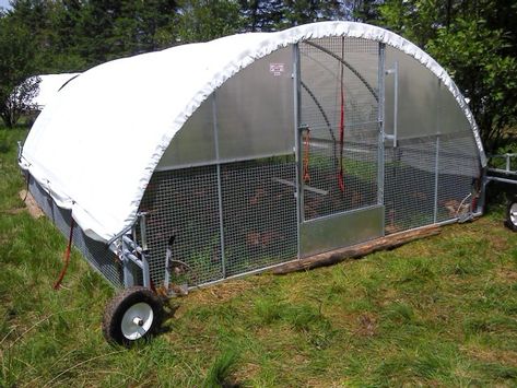 Cackellac Poultry Shelters - Profit from pastured poultry this season! Egg Mobile, Poultry Farm Design, Chicken Facts, Pastured Poultry, Eco Farm, Mobile Chicken Coop, Chicken Coop Garden, Meat Birds, Poultry Feeders