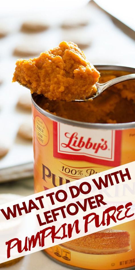 Recipes For Leftover Pumpkin Puree, Can You Freeze Pumpkin Puree, Recipes Using Pure Pumpkin, Pumpkin Purée Uses, 1 Cup Of Pumpkin Recipes, What To Make With Leftover Pumpkin Puree, Half Can Of Pumpkin Recipes, Pumpkin Can Recipes Easy, What To Do With A Can Of Pumpkin