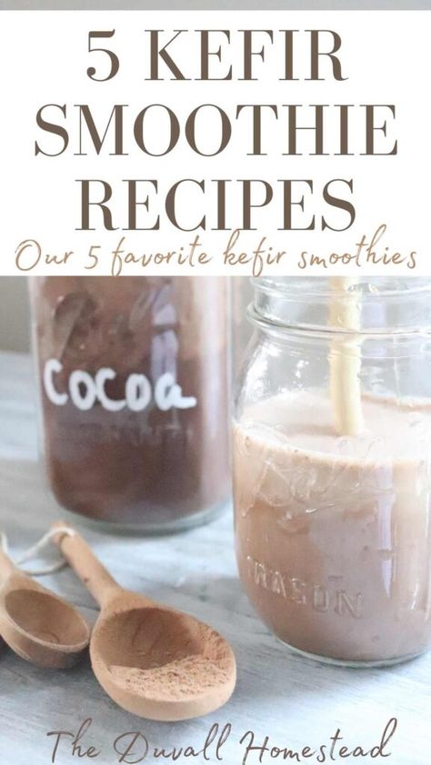 Raw Kefir Recipes, Kefir Uses, Ways To Eat Kefir, Recipes Using Plain Kefir, Diy Kefir How To Make, Chocolate Kefir Smoothie, Kefir Drink Recipes, How To Eat Kefir, Kefir Smoothie Recipes Healthy