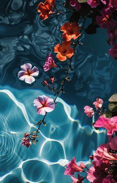 Summer By The Pool Aesthetic, Beach Flowers Aesthetic, Pool Flowers, Pink Ribbon Wallpaper, Winter Pool, Ocean Flowers, Calligraphy Wallpaper, Aesthetic Atmosphere, Close Eyes