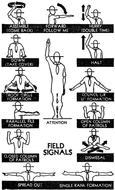 Field Signals Scout Knots, Boy Scouts Merit Badges, Communication Activities, Hiking Staff, Girl Guide, Hand Signals, Scout Activities, Scout Camping, Survival Life Hacks