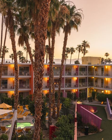 The iconic Saguaro Hotel 🌵🌈🌴✨ #palmsprings #aesthetic #california #travelusa