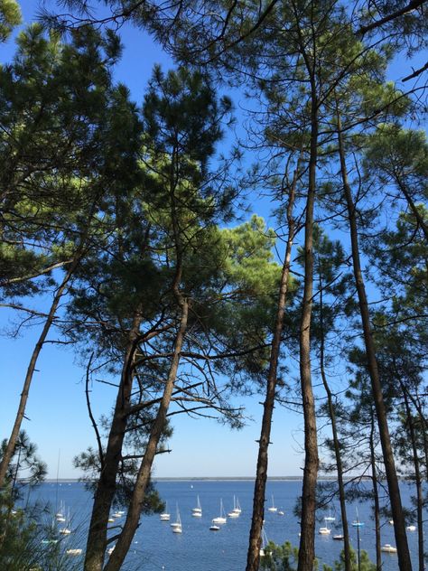 Ferret Aesthetic, Summer South Of France, West France, France Aesthetic, Fav Place, Cap Ferret, Summer Goals, Amazing Pics, South West