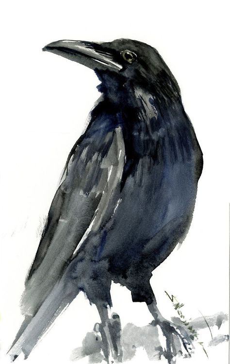 Raven Artwork, Crow Painting, Bird Watercolor, Crow Art, Watercolor Water, Raven Art, Art Premier, Original Watercolor Art, Bird Painting